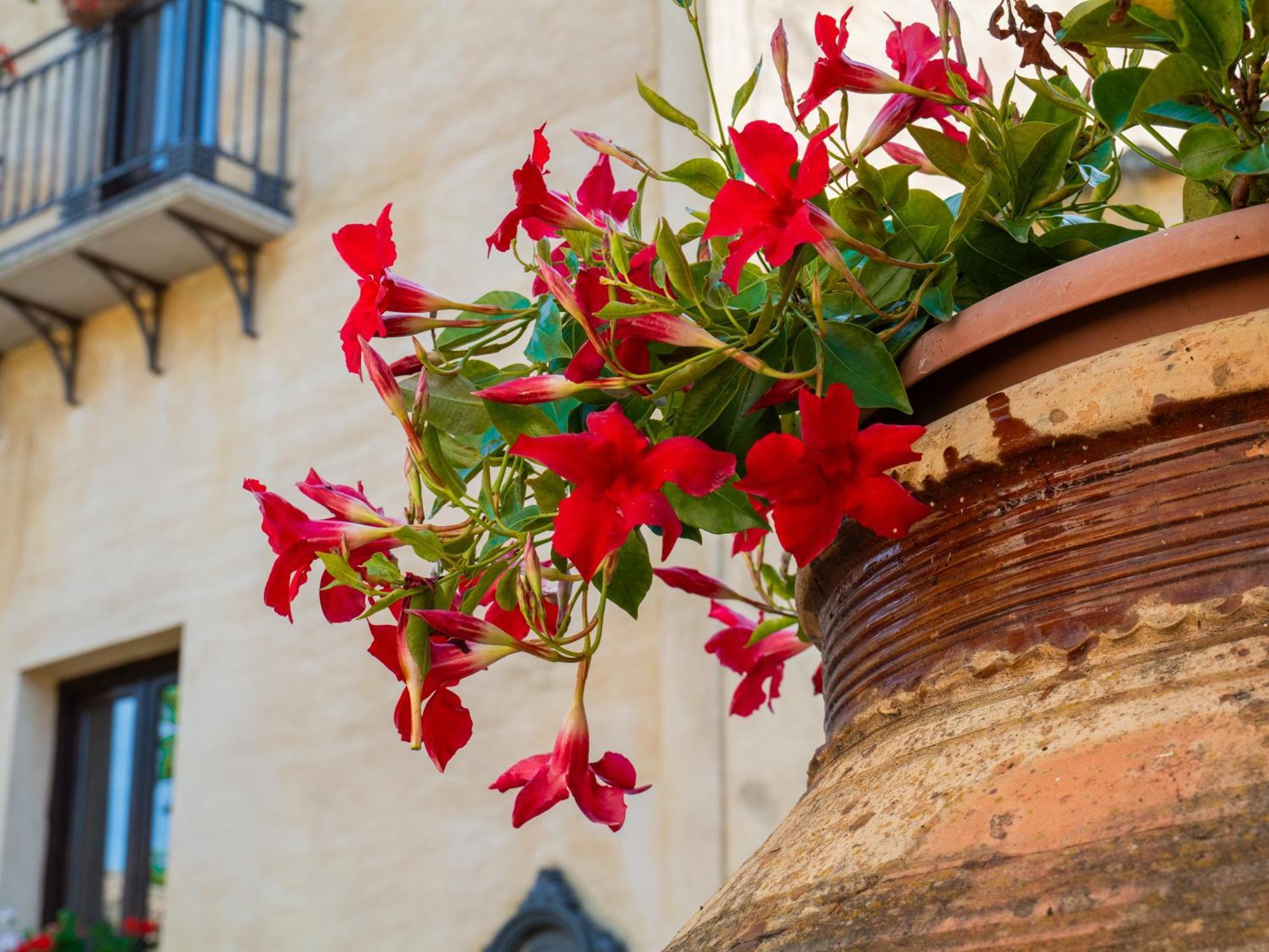 Agriturismo Baglio Fontana Buseto Palizzolo Εξωτερικό φωτογραφία